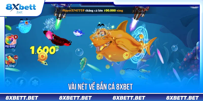 Vài nét về bắn cá 8XBET